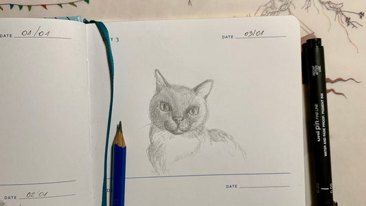 One Sketch A Day #3 - Discovering the Feline Charm