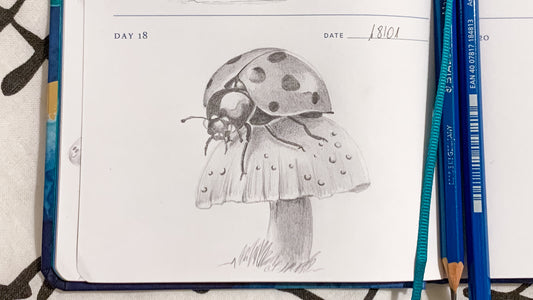 One Sketch A Day #18 - Enchantment of a Ladybug on a Mushroom