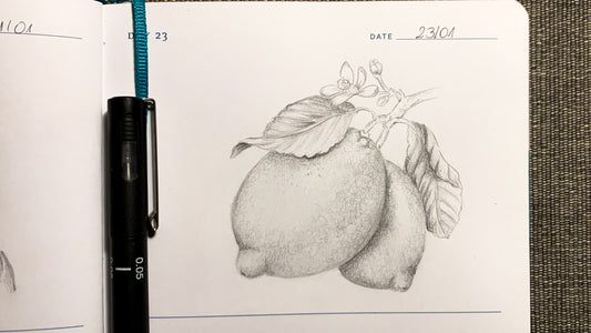 One Sketch A Day #23 - The Art of Caipirinha