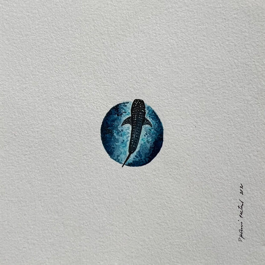 Whale Shark Watercolor Miniature