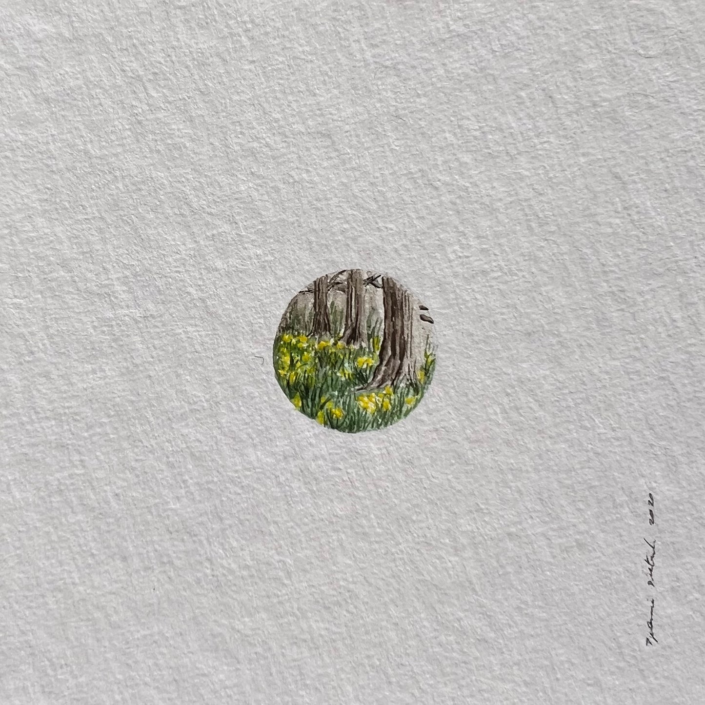 Florest Aquarelle Miniature