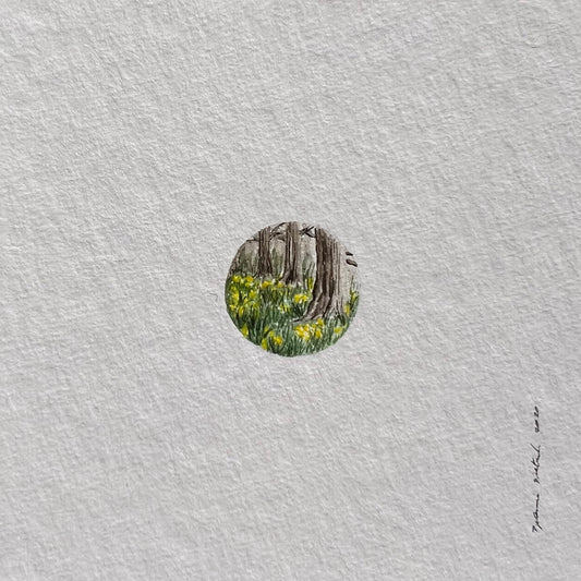 Florest Aquarelle Miniature