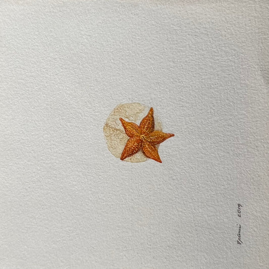 Starfish Watercolor Miniature