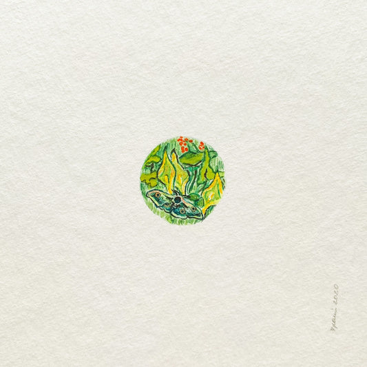 Van Goghs Miniatur „Schmetterlinge“.